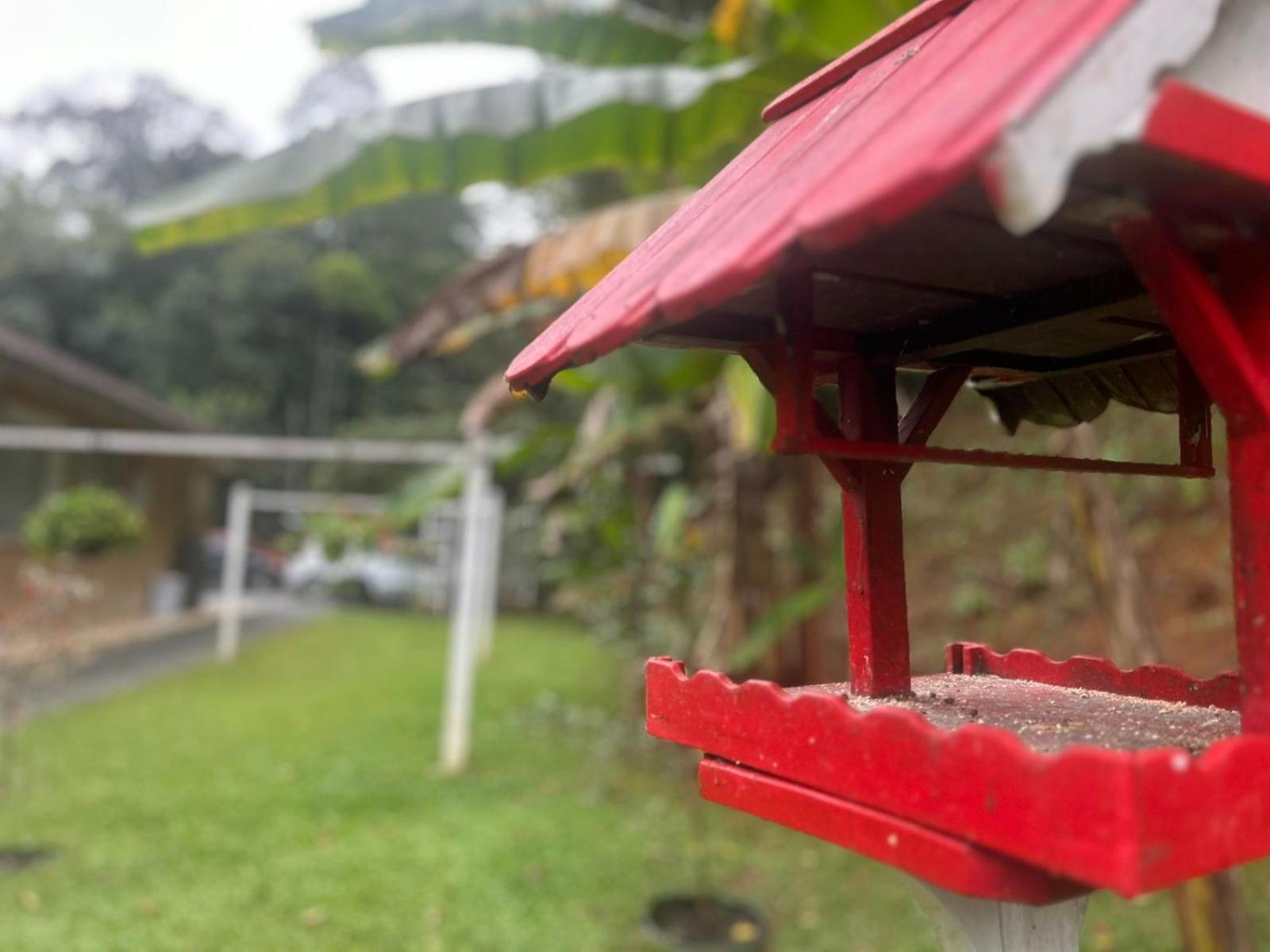 Bela Vista Hospedagem Joinville Exterior photo